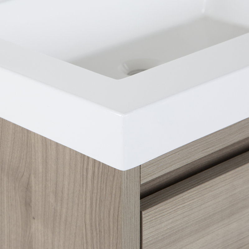 Mercury Row® Altenburg 24.5'' Wall Mounted Single Bathroom Vanity with